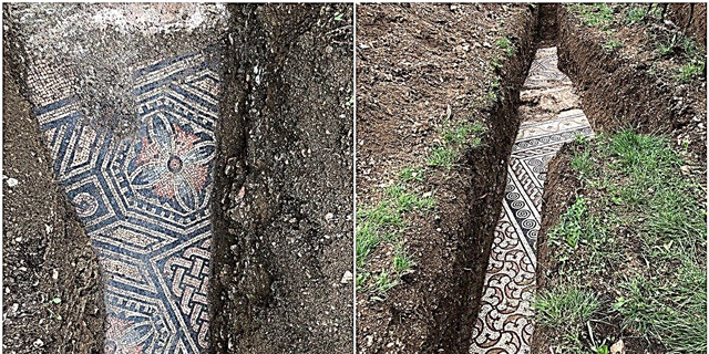 ရှေးဟောင်းသုတေသနပညာရှင်များသည်ရှေးခေတ်ရောမ Mosaic ကြမ်းခင်းကိုအီတလီစပျစ်ဥယျာဉ်အောက်တွင်တွေ့ရှိကြသည်