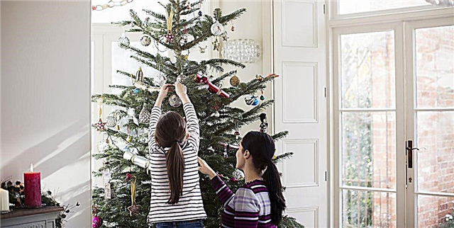 Сега можете да нарачате живо новогодишно дрво од Вејфаир за да ви бидат испорачани право на вашата врата