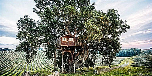 Treehouse Italia Ieu Anu Disada di Olive Grove Naha Leres B&B