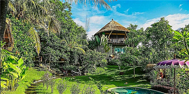 Bali'de bir gecəyə 84 dollar üçün bir gizli bir tropik ağacda qala bilərsiniz