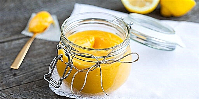 13 Таттуу лимон сиздин жаз мезгилиндеги майрамдарыңызга жакшы мамиле кылат