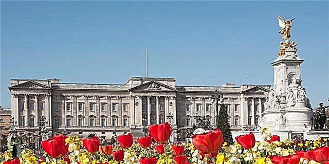 Pallati Buckingham është në lulëzim: Si Royals po festojnë pranverën
