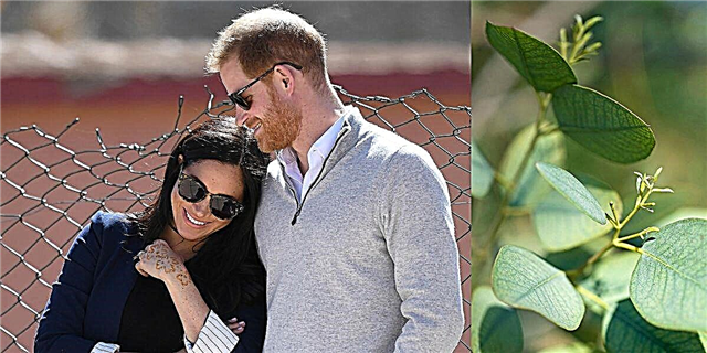 O Prince Harry ma Meghan Markle's Royal Baby Nursery o loʻo ufiufi i Rosemary & Eucalyptus-Infused Paint