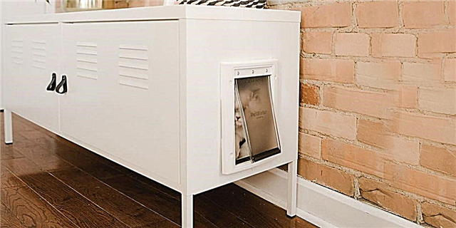 Shockingly Simple Way to Hide Your Cat Litter Box