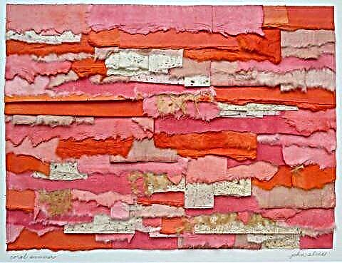 ხელმისაწვდომი, ფერადი ხელოვნება: დახეული ქაღალდის კოლაჟები ჯონ ელისის მიერ