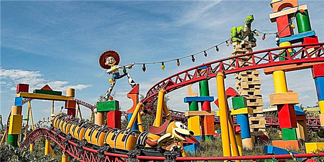Nazi Izi Zomwe Zili Ngati Mkati Disney's Toy Toy New Land Land