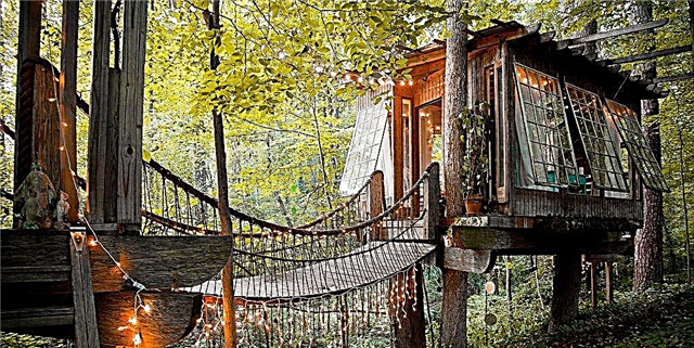 Vi neniam Divenus Ĉi Dreamy Treehouse Airbnb pravas en Atlanta