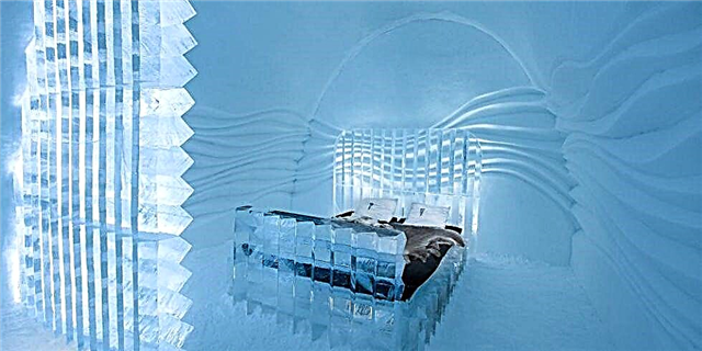 Энэ жилийн Шведийн мөсөн зочид буудал үнэхээр гайхалтай бүтээл юм