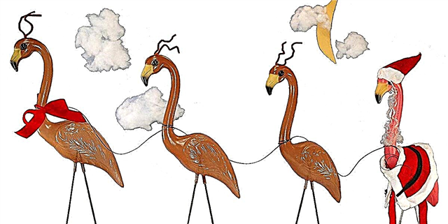 Flamingos Natal Iki bakal Dadi Dhiskusi saka Kejiranan Taun iki