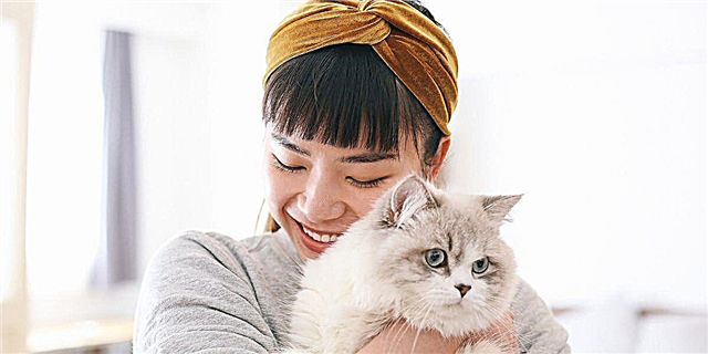 Sumala sa Panukiduki, Ang Pagkahimong Usa ka Cat Lady Sa Tinuod nga Maayo Alang Kanimo