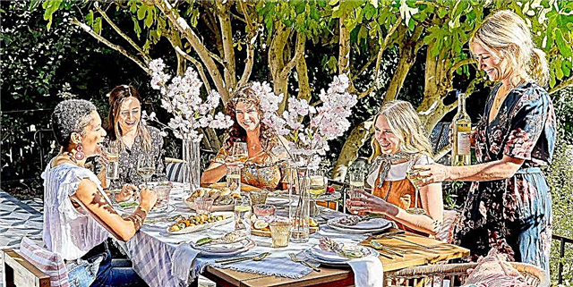 Эмили Хендерсоны гоёмсог цэцэрлэгийн үдэшлэгийг шидэх гарын авлага