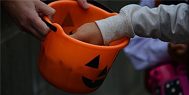 Ky hap i thjeshtë mund të shpëtojë fëmijët tuaj nga helmimi aksidental këtë Halloween