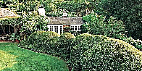 8 xeitos de facer que o teu xardín pareza que pertence aos Hamptons