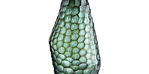 Апта сайынғы дизайн мәмілесі: сатылатын 10 ваза