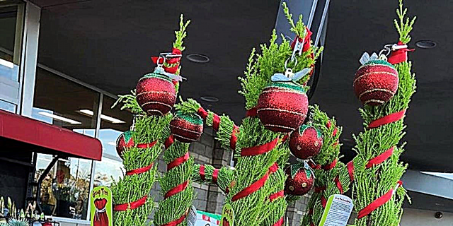 O comerciante Joe está vendendo árbores de Nadal retorcidas que animarán a Grinch na túa vida