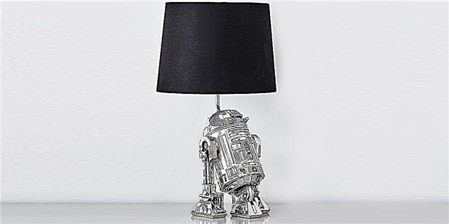 Mae Padawans Ifanc Angen Y Lamp R2-D2 hwn