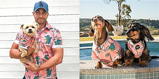 Scelerisque eu enim sit amet Etsy Hawaiian shirts es et Dog