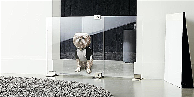CB2's New Jennifer Fisher Collection Includes the Chicest Dog Gate You You Ever seen