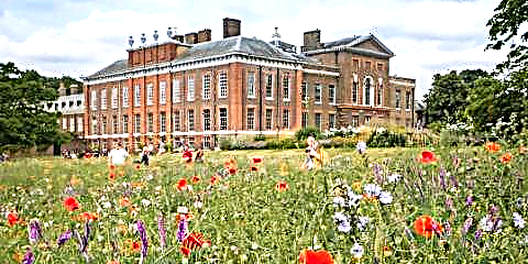 Kensington-paleis het 'n kleurryke veldblomlander met papawer bygevoeg