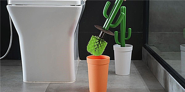 Verberg jou toiletborsel met hierdie gek-slim kaktus