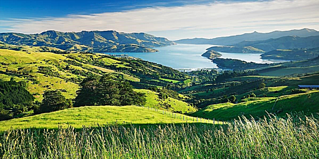اگر موافق مصاحبه شغلی باشید ، نیوزیلند سفر رایگان به شما خواهد داد