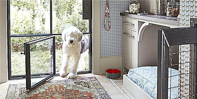 Если у вас есть домашнее животное, вам нужна эта собачья комната
