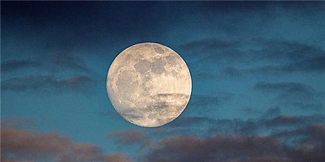 Целосната Бук Месечина ќе го направи летото деби