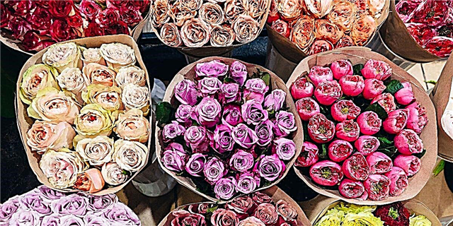 تحقیق کا کہنا ہے کہ آپ کے گھر میں تازہ پھول رکھنے سے درد کی سطح کو کم کیا جاسکتا ہے