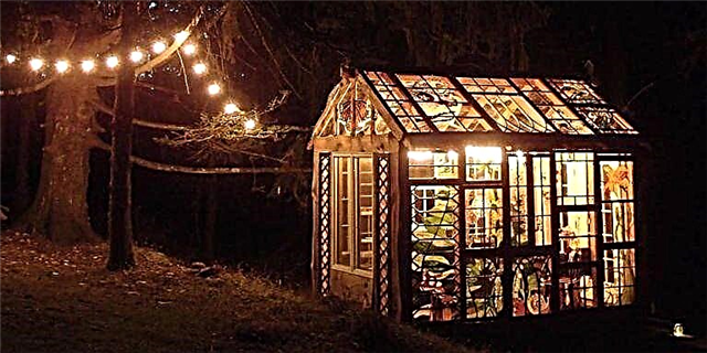 Esta cabana de vidreiras no bosque é simplemente abraiante