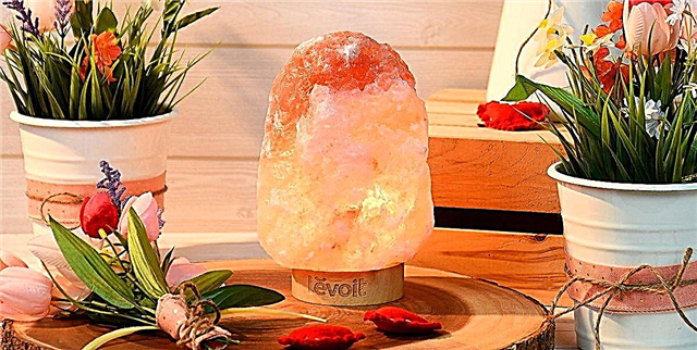 Obavijest: Ova moderna ružičasta žarulja od soli je na prodaju za 20 USD