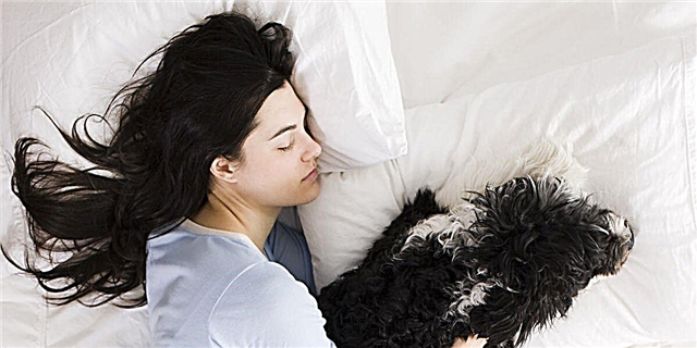 Ուսումնասիրության համաձայն. Կանայք ավելի լավ են քնում իրենց շների հետ, քան իրենց գործընկերները