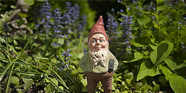 6 Tiştên ku hûn ji Gnomes Baxçeyê Nizanin