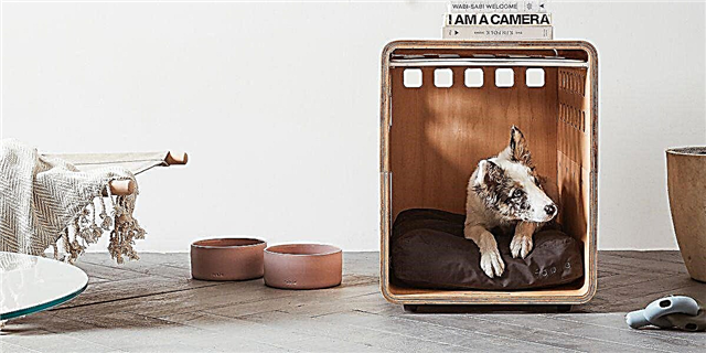 Fable-ийн гайхамшигтай шинэ нохойны хайрцгийн загвар нь загварлаг хажуугийн ширээ болж өгдөг