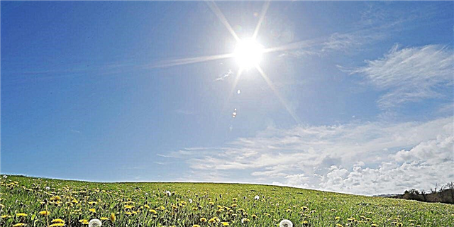 Најстарата пролет во повеќе од еден век се случува оваа недела