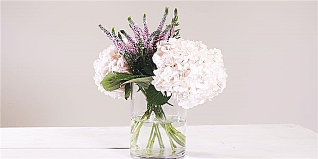 3 نوع گل آرایی ضد گل که برای ساخت 25 دلار ارزانتر است