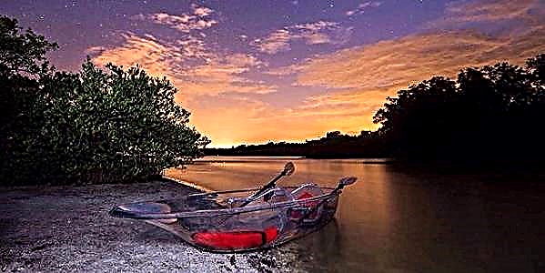 អ្នកអាចជំរុញតាមរយៈទឹក Bioluminescent ទឹកនៅរដ្ឋផ្លរីដានៅក្នុងការមើលតាមរយៈ Kayak