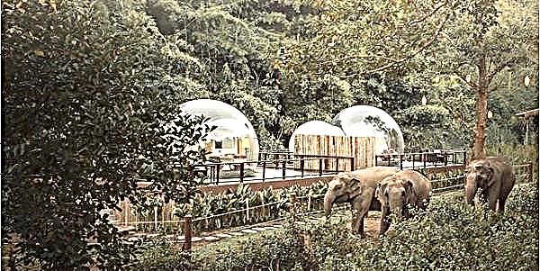 Možete spavati u blizini slonova i zvjezdanih pogleda u ovim prozirnim „mjehurićima iz džungle“