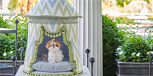 Эти элегантные кровати на заказ для собак собираются стать вашей новой навязчивой идеей