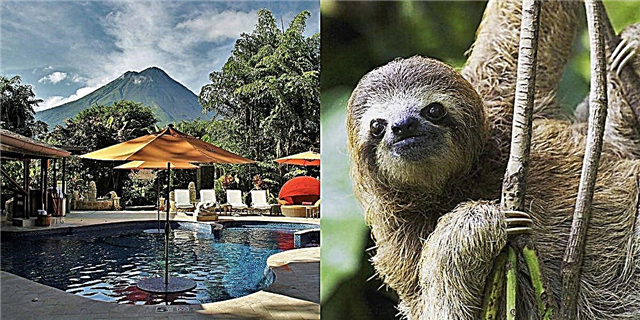 Resort iki ing Costa Rica Nduwe Reserve sloth, Daily Daily, lan Spa Layanan lengkap