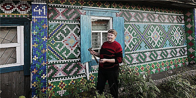 Оваа Русинка го надогради својот дом - со 30.000 капачиња со шишиња