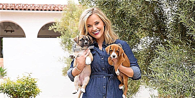 Մենք obsessed with Reese Witherspoon- ի Կալիֆոռնիայի ցնցող տան մեջ